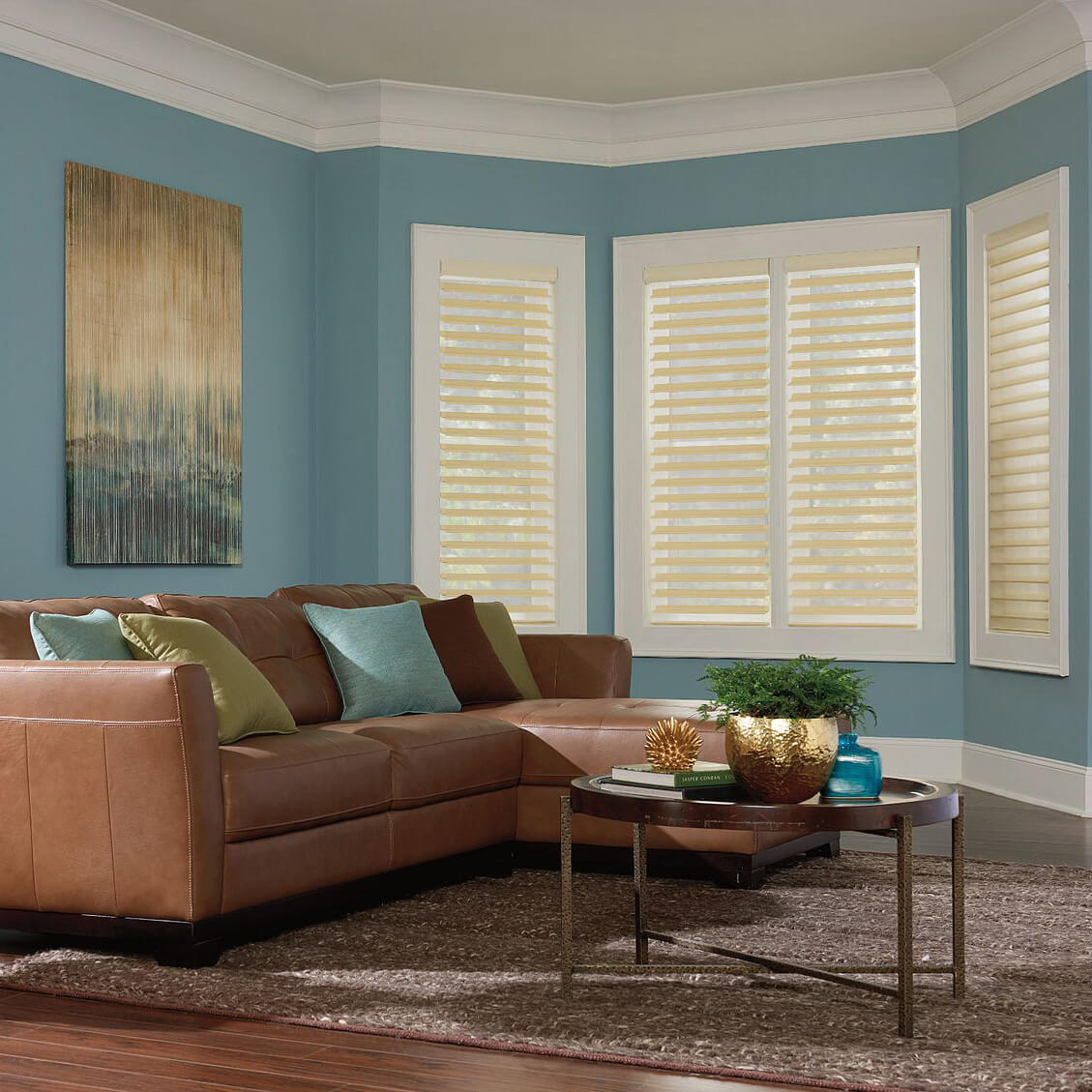 Window treatments for living room