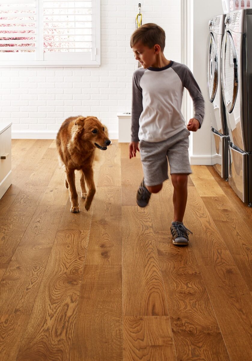 Pet friendly floor | Floor to Ceiling Freeport